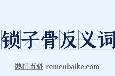 锁子骨反义词是什么意思的图片